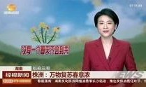 湖南经视新闻爆料,揭秘某事件背后真相